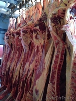  Мясо говядина оптом(свеж, заморож, охлажденное, туша) - Изображение #2, Объявление #1305876