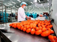  На работу в Польше нужны упаковщики колбасных изделий - Изображение #3, Объявление #1468424