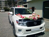 прокат лимузинов в Алматы от NSLIM - Изображение #2, Объявление #1461675