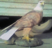 Фасадная панель,скульптуры,вазоны,фонтаны - Изображение #7, Объявление #1470360