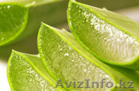 Питьевой гель Алоэ Вера Мед от LR - Изображение #4, Объявление #1461510