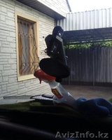 Ремонт реставрация автостекол - Изображение #2, Объявление #1489171