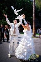 Профессиональная Фото и Видео съемка различных торжеств в Алматы - Изображение #1, Объявление #1492973