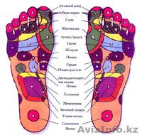Массажер для тело и здоровья - Изображение #2, Объявление #1491647