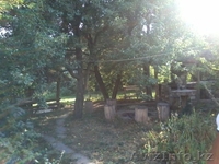 Продам срочно дом в мкр. Алатау (с/т Мичуринец) - Изображение #4, Объявление #1503780