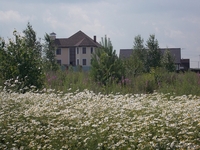 Участки в пригороде Новосибирска  - Изображение #4, Объявление #1511661