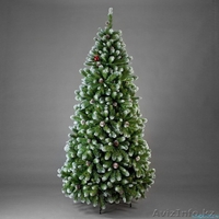 Купи Елку и забери свой подарок - Изображение #1, Объявление #1504528