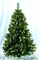 Новогодние елки оптом и в розницу - Изображение #2, Объявление #1506559