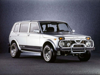 Автомагазин запчасти на НИВУ - Изображение #3, Объявление #1541975