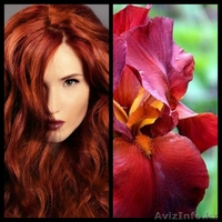 Курсы парикмахеров стилистов - Изображение #3, Объявление #1495591