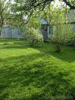 Продается дача с участком в 10 соток - Изображение #8, Объявление #1539010