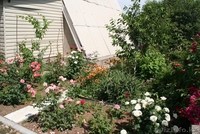 Продается дача (Алийские дачи по капчагайской трассе за Байсерке) - Изображение #7, Объявление #1539195