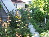 Продается дача (Алийские дачи по капчагайской трассе за Байсерке) - Изображение #9, Объявление #1539195