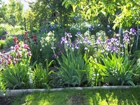 Продается дача (Алийские дачи по капчагайской трассе за Байсерке) - Изображение #6, Объявление #1539195