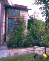 Продается дача (Алийские дачи по капчагайской трассе за Байсерке) - Изображение #8, Объявление #1539195