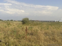 Продажа зем.участков для ведение товарного сельского хозяйства (КХ) в пос.  - Изображение #1, Объявление #1560282