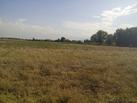 Продажа зем.участков для ведение товарного сельского хозяйства (КХ) в пос.  - Изображение #2, Объявление #1560282