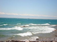 Срочно продам земельный участок и готовый бизнес под ключ! - Изображение #3, Объявление #1562102