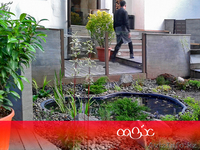 Ландшафтный дизайн, озеленение, уход за садом - Изображение #9, Объявление #1564648