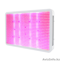 Фитопанели и фитолампы. - Изображение #3, Объявление #1574380