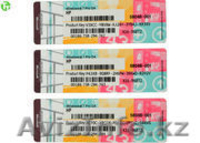 Windows 7 Professional ( cтикер ) - Изображение #1, Объявление #1573393