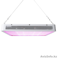 Фитопанели и фитолампы. - Изображение #2, Объявление #1574380