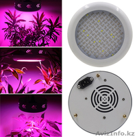 Фитопанели и фитолампы. - Изображение #7, Объявление #1574380