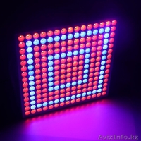 Фитопанели и фитолампы. - Изображение #8, Объявление #1574380