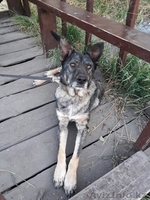 Виктория в поиске дома. - Изображение #1, Объявление #1586064