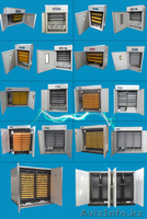 Инкубаторы 2в1 шкаф инкубационо-выводной. Гарантия - Изображение #4, Объявление #1587493