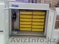 Инкубаторы 2в1 шкаф инкубационо-выводной. Гарантия - Изображение #1, Объявление #1587493