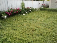 Продам дом , Калкман-2 - Изображение #5, Объявление #1594105