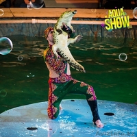  Мы разыграем 100 билетов на выступление красочного Aqua Show - Изображение #3, Объявление #1602315