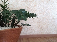 Автострахование Евразия в Алматы - Изображение #5, Объявление #1263344