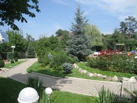 Обслуживание участков Алматы..  - Изображение #2, Объявление #1180092