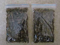 Азиатская сушеная медведка - Изображение #2, Объявление #1611981
