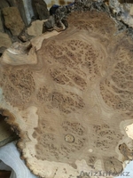 Массив для авторских изделий:кап,слэбы,доска,спилы - Изображение #5, Объявление #1597908