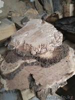 Массив для авторских изделий:кап,слэбы,доска,спилы - Изображение #7, Объявление #1597908