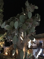  Жильё       на           Кипре - Изображение #5, Объявление #1627128