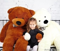 Большие мишки - Изображение #5, Объявление #1629339