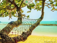 Второе Гражданство Сент-Китс и Невис - Изображение #3, Объявление #1631814