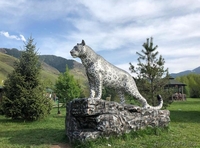 Форелевое хозяйство Нурлы Тау - Изображение #3, Объявление #1637615