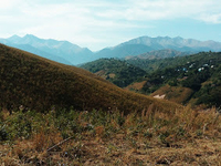 Продаю Дачу с большим участком - Изображение #4, Объявление #1645732