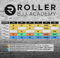 Занятия бразильскому джиу-джитсу для детей и взрослых - Изображение #2, Объявление #1648780