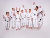 Занятия бразильскому джиу-джитсу для детей и взрослых - Изображение #3, Объявление #1648780