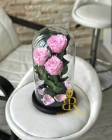 Живая Роза в стеклянной колбе - Бесплатная Доставка - Изображение #5, Объявление #1649066