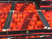 Фрукты и овощи из Испании. Прямые поставки - Изображение #3, Объявление #1666153