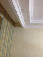 Предлагаем услуги по отделке квартир.Маляры. - Изображение #7, Объявление #1663162