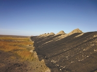 Геоматы - Изображение #2, Объявление #1677438