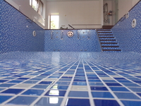 Отделочные материалы для бассейна - Изображение #6, Объявление #1685588